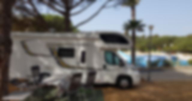 Motorhome pitch under pines, blurred