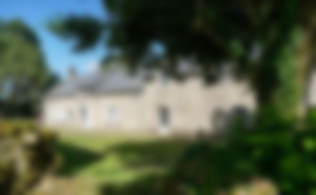 Garden setting with mature trees, blurred
